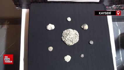 Kayseri'de 10 milyon yıllık fosil ele geçirildi