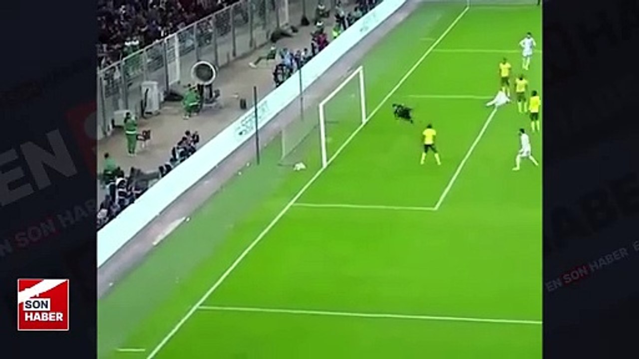 Eski Fenerbahçeli Yassine Benzia'dan Güney Afrika'ya nefis gol