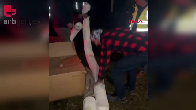 NATO boru hattından sızan akaryakıt Sapanca Gölü’ne karıştı