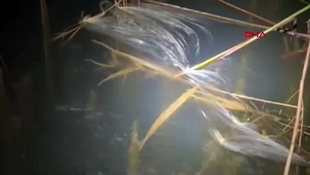 NATO boru hattından sızan akaryakıt Sapanca Gölü’ne karıştı