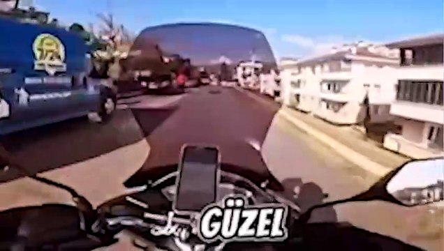 Bir vatandaş hamile kedi için mama, kediyi besleyecek kurye için de çikolata sipariş verdi!