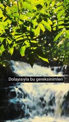 Niximera Yazılım - Kobi