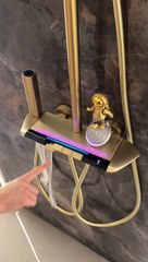 Would you like a gold shower?