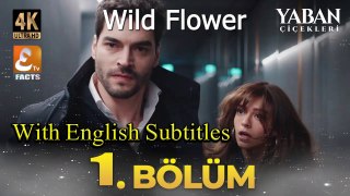 Yaban Çiçekleri Episode 01 With English Subtitles