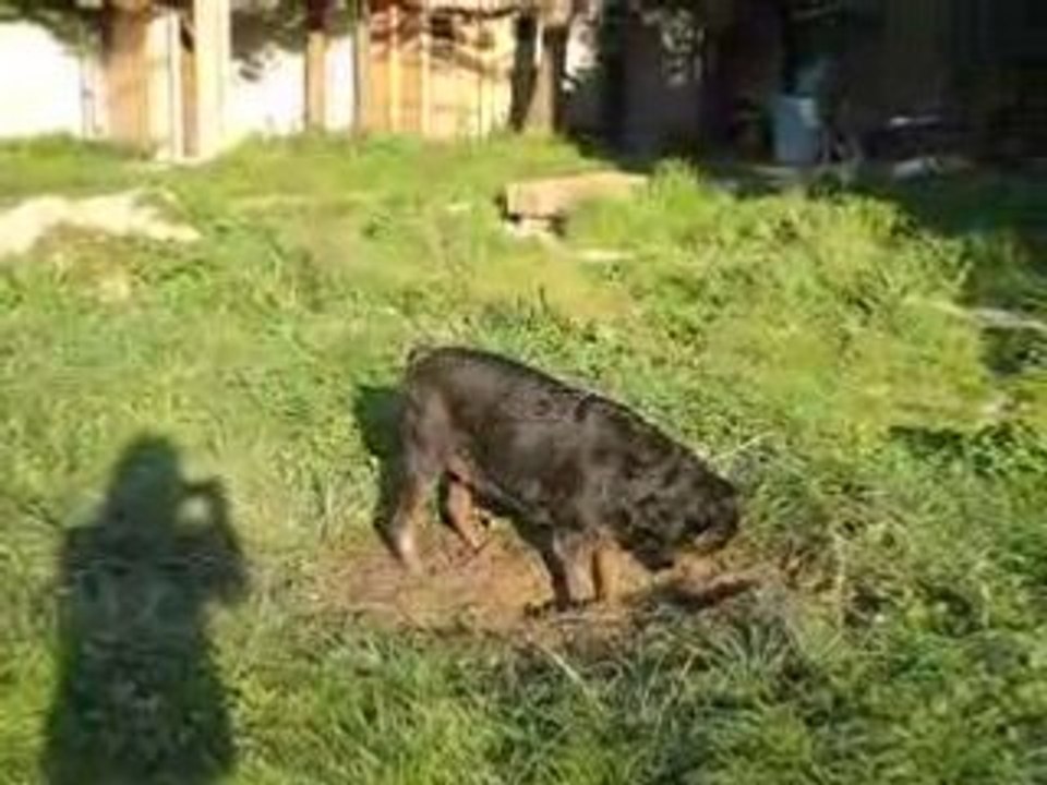 Toska et son soin de la peau...