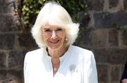 Queen Camilla hosted authors and actors at a star-studded event in London to celebrate reading