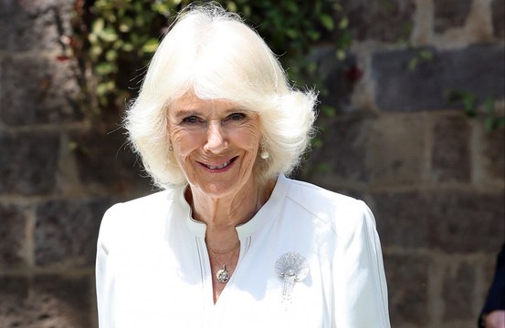 Queen Camilla hosted authors and actors at a star-studded event in London to celebrate reading