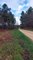 Miniature DailyMotion