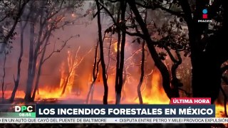México registra más de 100 incendios forestales activos