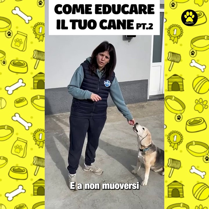 Come educare il tuo cane parte 2