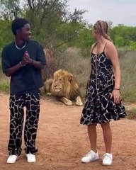 We danced infront of a lion 