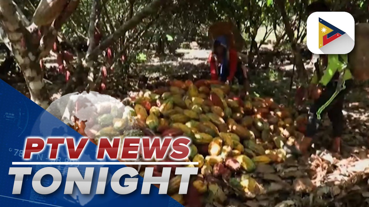 Cocoa cracks record above $10-K before Easter Sunday