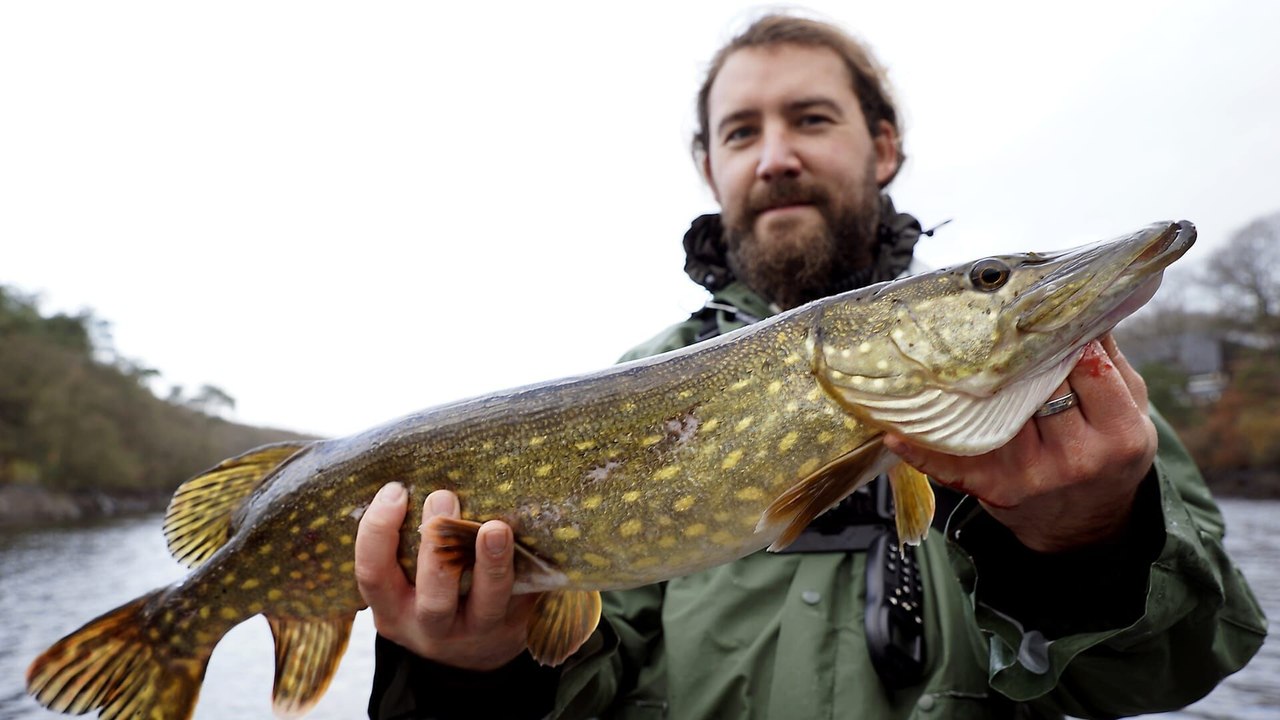 Pêcheurs de grands brochets