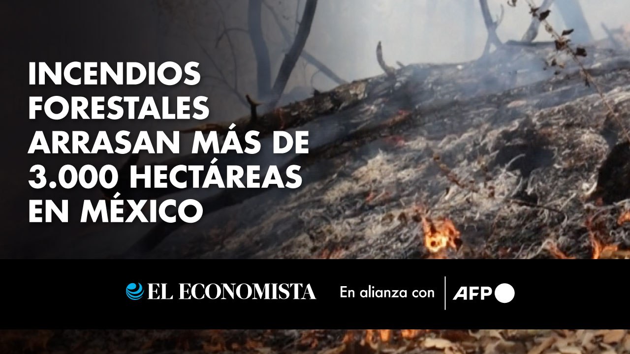 Incendios forestales arrasan más de 3.000 hectáreas en México
