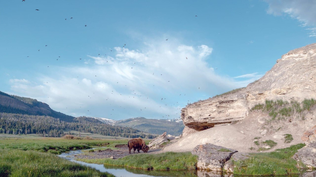 Yellowstone : Nature extrême