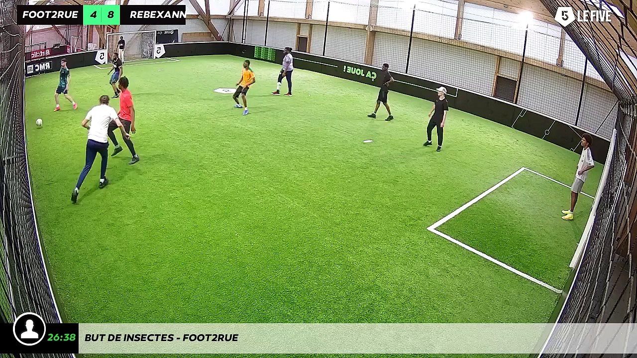But de insectes - foot2rue