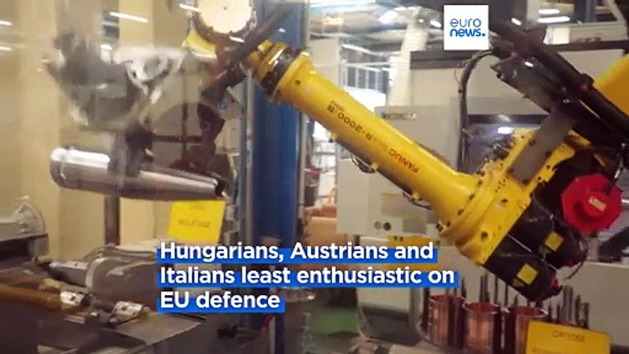 EU defence a priority even for eurosceptics: exclusive poll