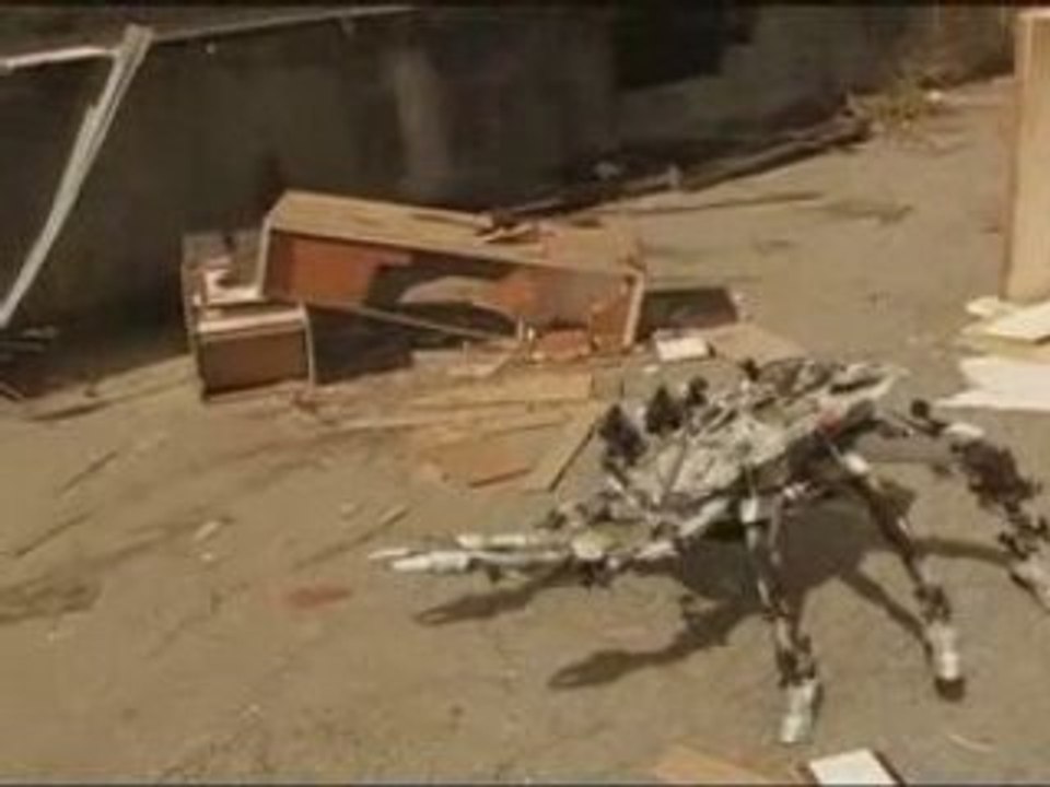 Nike Crab