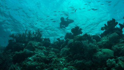 Voyage au coeur des derniers édens