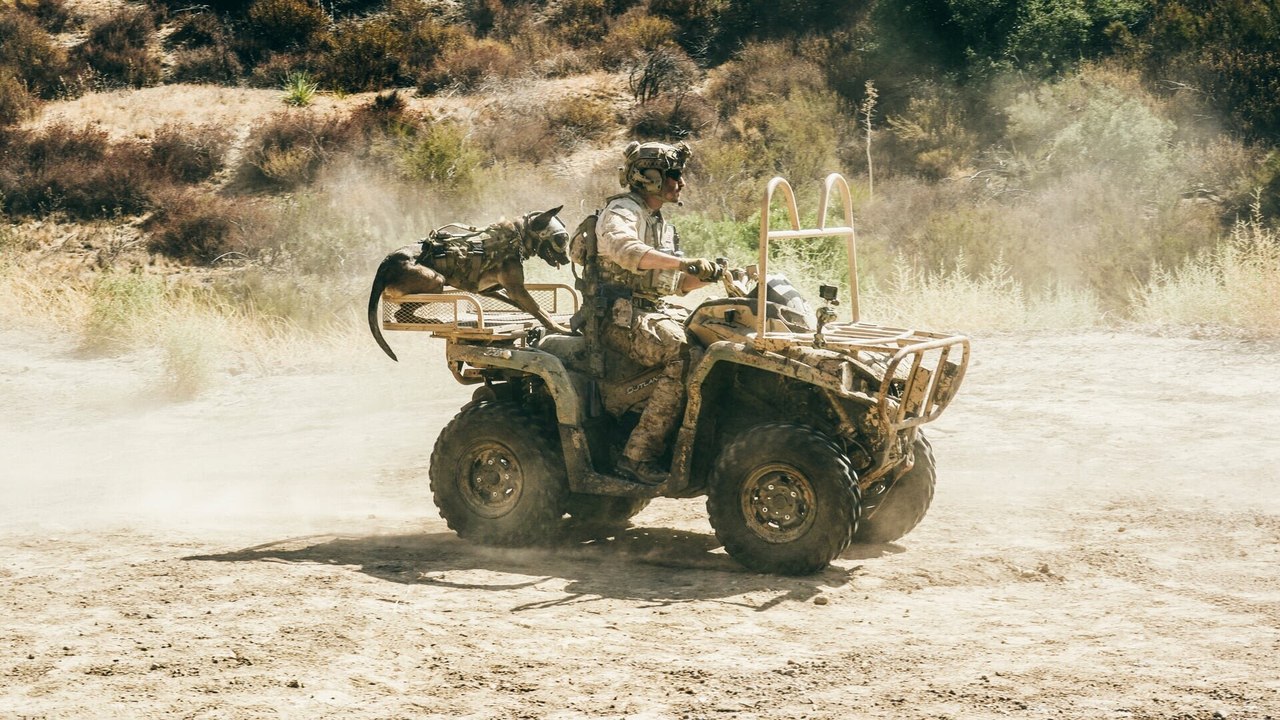 SEAL Team