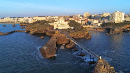 Des racines et des ailes