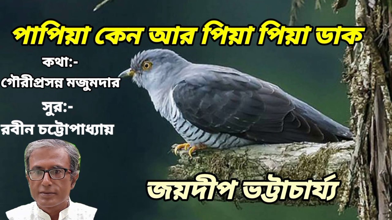 পাপিয়া কেন আর পিয়া পিয়া ডাক//হারানো দিনের গান// আধুনিক বাংলা গান//শিল্পী:- জয়দীপ ভট্টাচার্য্য