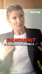 « ON NOURRIT LES GANGS CRIM*NELS » Alexandra Lamy balance 