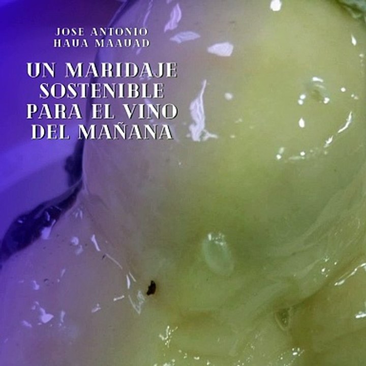 Jose Antonio Haua Maauad- El futuro de la industria del vino en América: (Parte 1) (Creado por @JoseAntonioHauaMaauad)