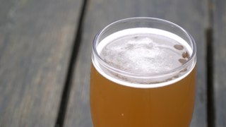 Kent research aims to develop climate-resistant beer hops