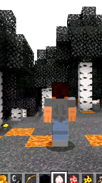 LES ANIMAUX DANS MINECRAFT