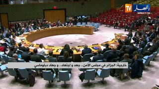 الجزائر في مجلس الأمن.. جهد واجتهاد.. و جهاد دبلوماسي