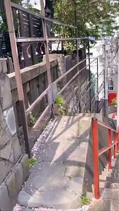 #japan #trending