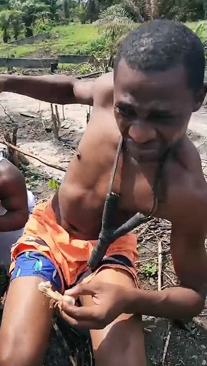 le piège فكاهة افريقيا