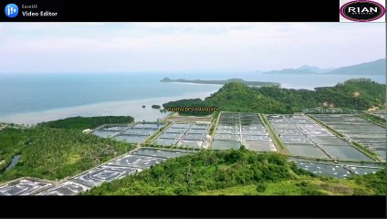 Pantai Mangrove Dewi Mandapa Pesawaran Lampung