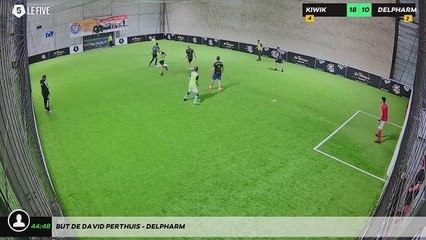 But de DAVID PERTHUIS - DELPHARM