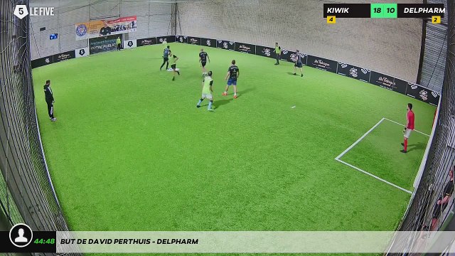 But de DAVID PERTHUIS - DELPHARM