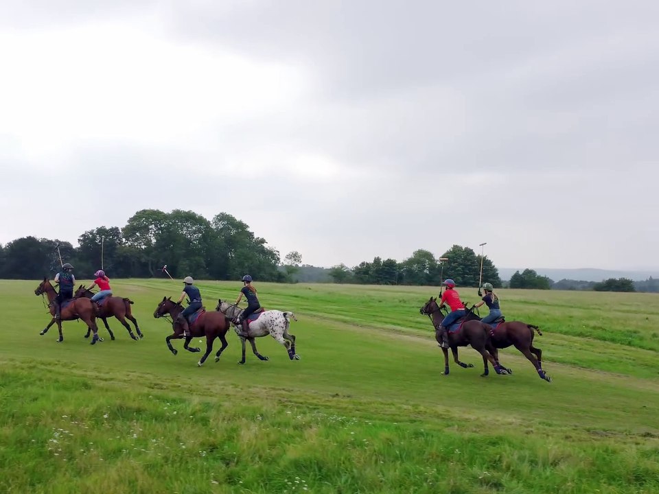 Website-Video