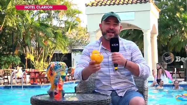 Transmisión en Vivo (3650)