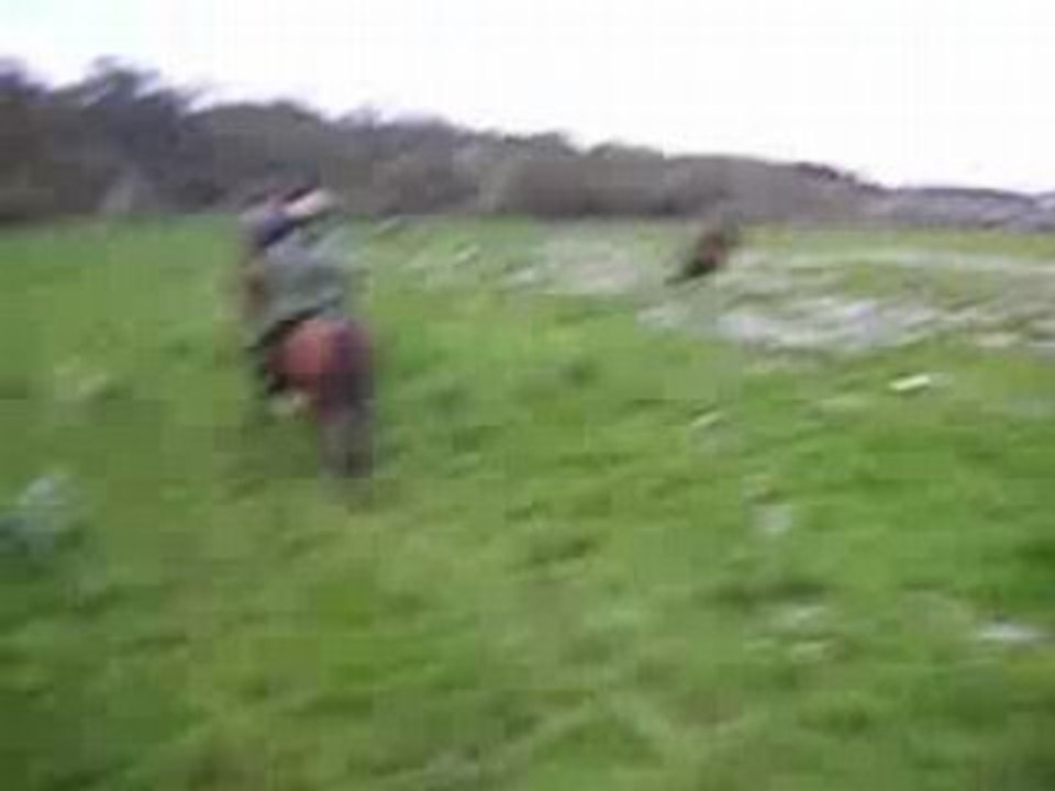 Au galop !