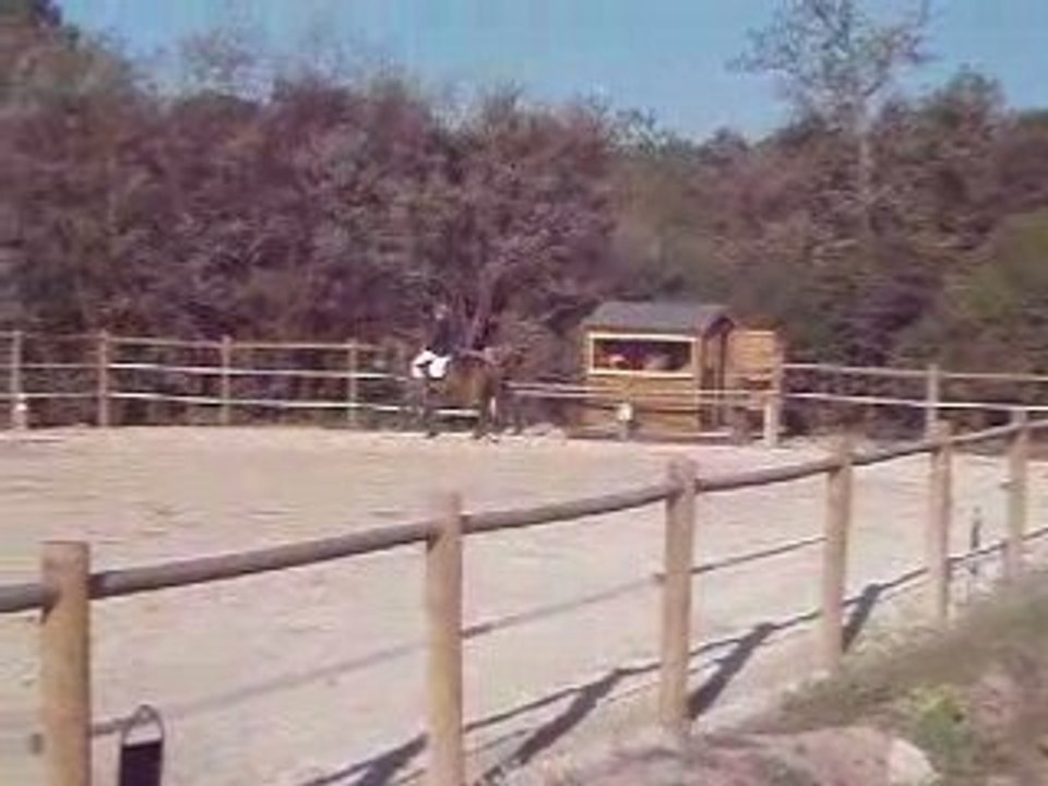 Moya & Juliette dressage Club 2