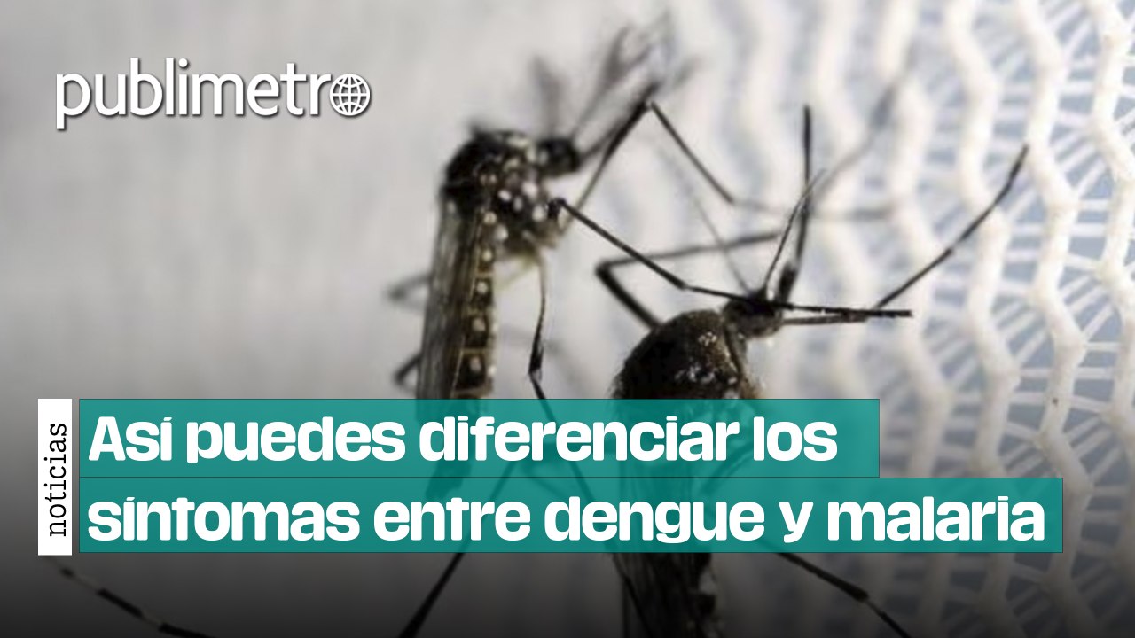 ¿Cómo diferenciar los síntomas de dengue y malaria?