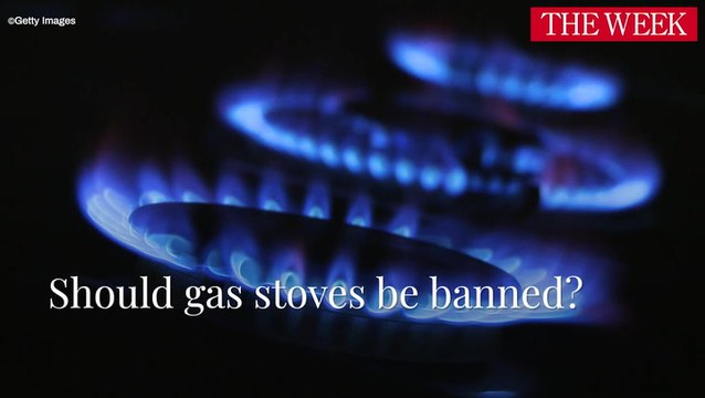 Do Gas Stoves Harm Our Health And The Environment?