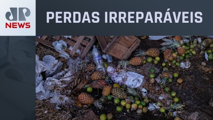 ONU: Mais de 1 bilhão de refeições foram desperdiçadas por dia em 2022