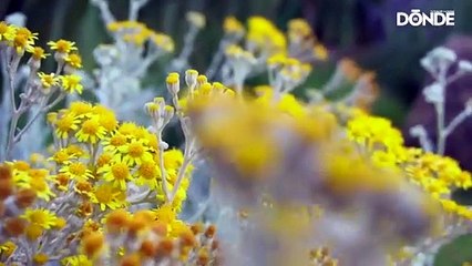 Glamping: Hotel con forma de iglú en Huasca de Ocampo