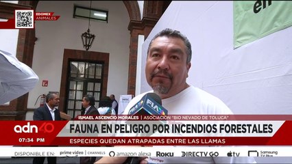 25 desgraciados entraron a robar a la casa de un adulto mayor I C40 en Ciudad Desnuda