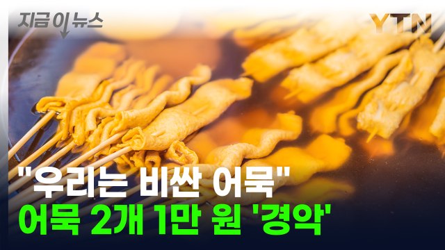 '어묵 2개가 1만 원?'...진해 군항제 바가지 요금 논란 [지금이뉴스] / YTN