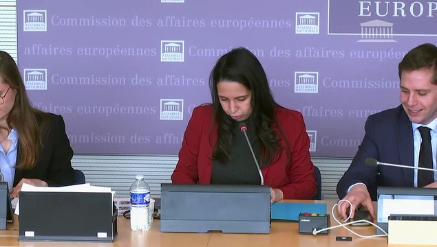Commission des affaires européennes : Étendre les compétences du Parquet européen aux infractions à l’environnement - Mercredi 27 mars 2024