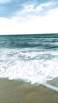 Of what wood was Noah’s Ark made?A. Gopher wood (Gen 6:14)B. Acacia woodC. Cedar of LebanonD. Carob wood