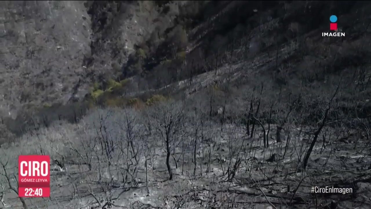 Hay 120 incendios activos en 19 estados de México; hay 7 mil hectáreas afectadas