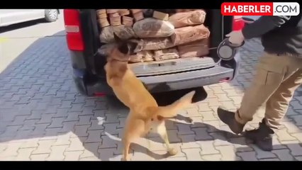 41 ilde Narkoçelik operasyonu! 1 ton uyuşturucu ele geçirildi